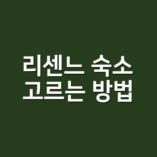 리센느 숙소 고르는 방법, 공연장 동선부터 예산까지 이렇게 잡으면 편합니다 - 요약
