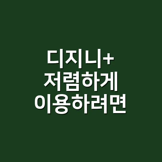디지니+ 저렴하게 이용하려면 이렇게 고르면 됩니다