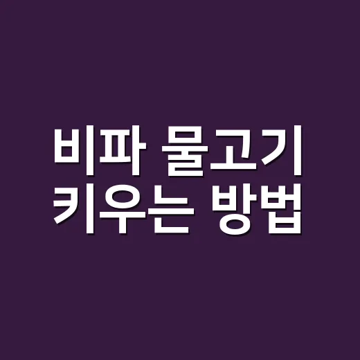 비파 물고기 키우는 방법, 청소 물고기라고 데려오기 전 꼭 볼 것 - 요약