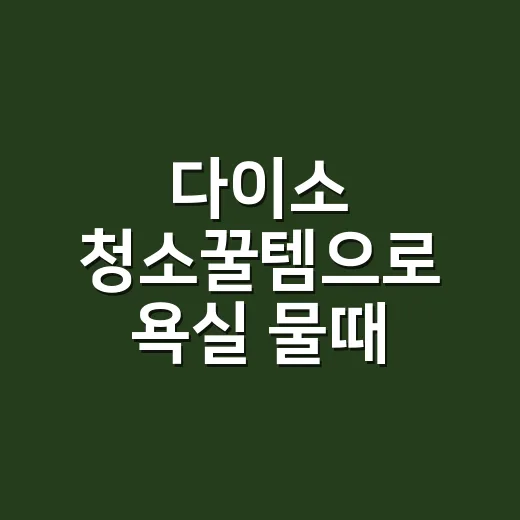 다이소 청소꿀템으로 욕실 물때 제거하는 방법, 초보자도 실패 줄이는 순서 - 요약