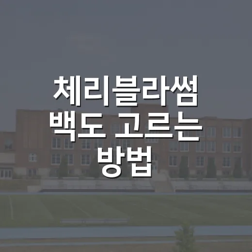 체리블라썸 백도 고르는 방법, 실패 줄이려면 이렇게 보세요 - 요약
