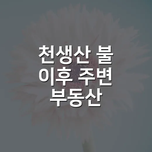 천생산 불 이후 주변 부동산 확인하는 방법 - 요약