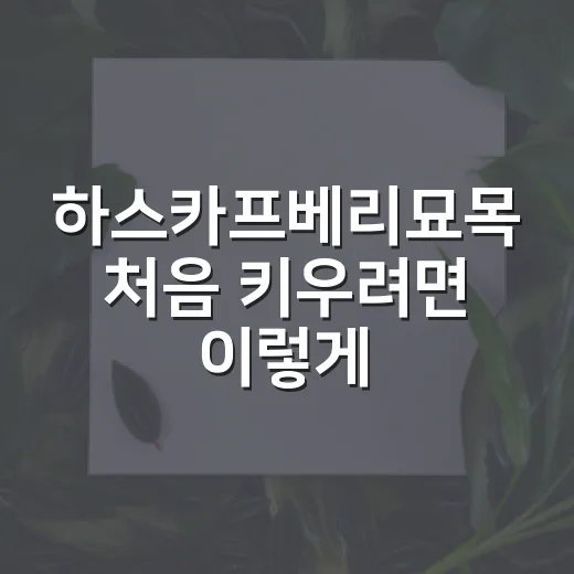 하스카프베리묘목 처음 키우려면 이렇게 고르면 실패가 줄어듭니다 - 요약