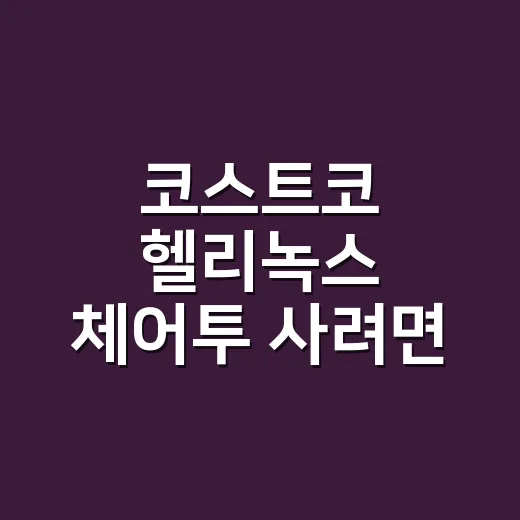 코스트코 헬리녹스 체어투 사려면 이렇게 확인하세요 - 요약