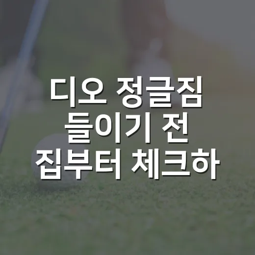 디오 정글짐 들이기 전 집부터 체크하는 방법 - 요약