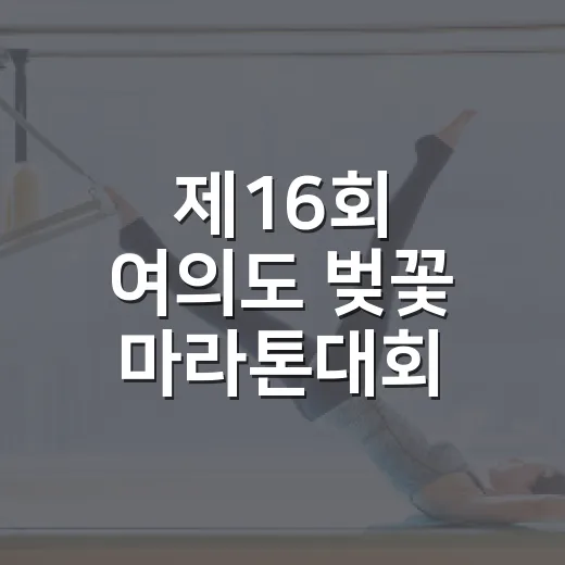 제16회 여의도 벚꽃 마라톤대회 준비하는 방법, 참가자 기준으로 챙길 것 - 요약