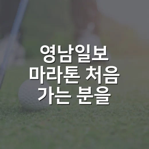 영남일보 마라톤 처음 가는 분을 위한 참가 준비와 대구스타디움 주변 보는 방법 - 요약