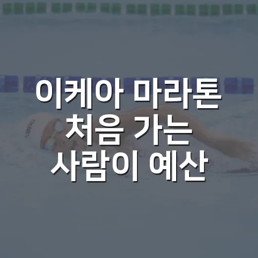이케아 마라톤 처음 가는 사람이 예산 덜 쓰는 방법 - 요약
