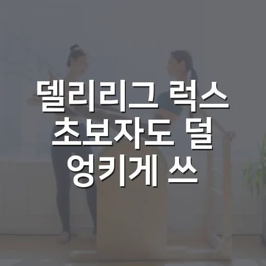 델리리그 럭스 초보자도 덜 엉키게 쓰는 방법 - 요약