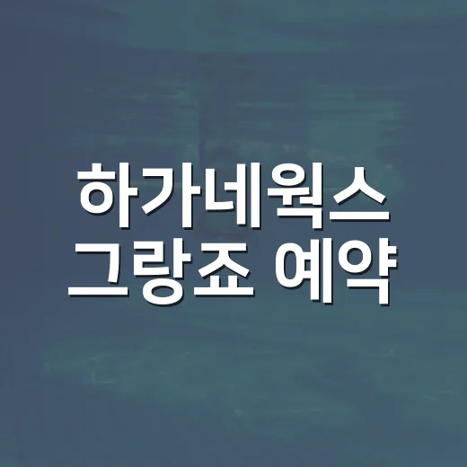 하가네웍스 그랑죠 예약·구매 전 확인하는 방법 - 요약