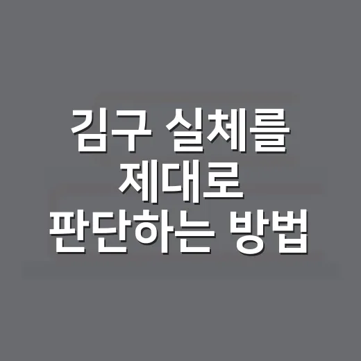 김구 실체를 제대로 판단하는 방법: 영웅담과 논란을 함께 읽기 - 요약
