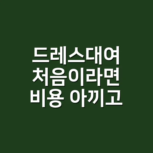 드레스대여 처음이라면 비용 아끼고 실패 줄이는 방법 - 요약