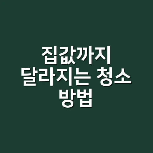 집값까지 달라지는 청소 방법, 매매·전월세 전 이렇게 관리하세요 - 요약