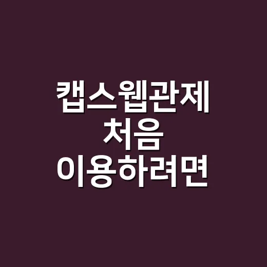 캡스웹관제 처음 이용하려면 이렇게 확인하세요 - 요약