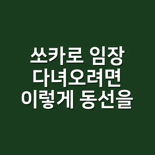 쏘카로 임장 다녀오려면 이렇게 동선을 짜면 됩니다 - 요약