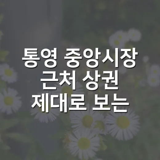 통영 중앙시장 근처 상권 제대로 보는 방법 - 요약