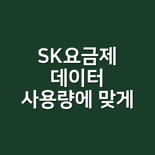 SK요금제 데이터 사용량에 맞게 고르는 방법 - 요약