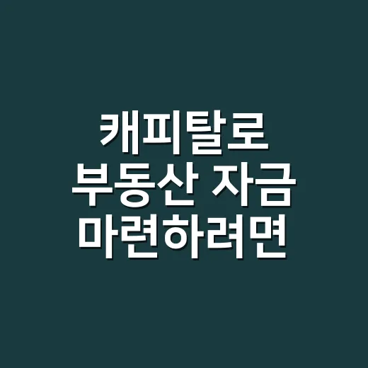 캐피탈로 부동산 자금 마련하려면 이렇게 비교하세요 - 요약