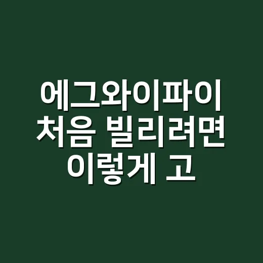 에그와이파이 처음 빌리려면 이렇게 고르면 됩니다 - 요약