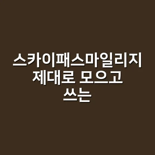 스카이패스마일리지 제대로 모으고 쓰는 방법 - 요약