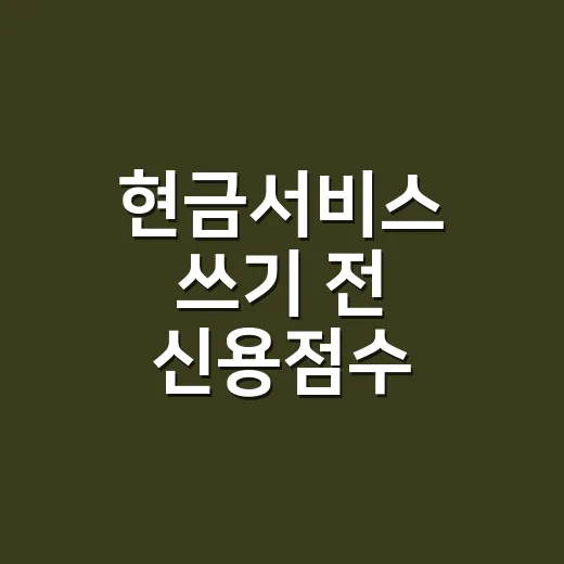 현금서비스 쓰기 전 신용점수 지키는 방법 - 요약