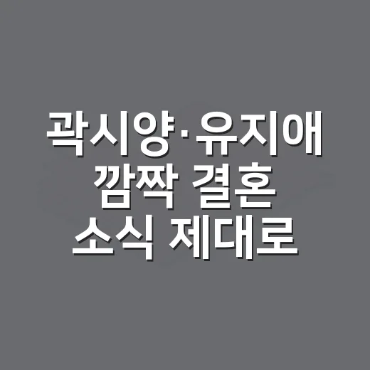 곽시양·유지애 깜짝 결혼 소식 제대로 확인하는 방법 - 요약