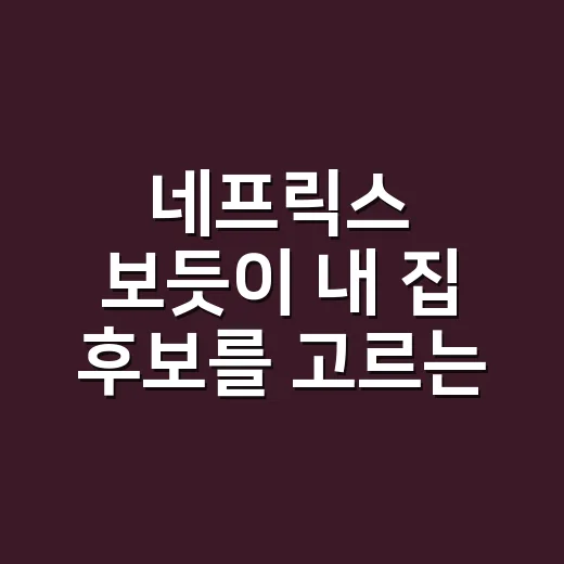 네프릭스 보듯이 내 집 후보를 고르는 방법 - 요약