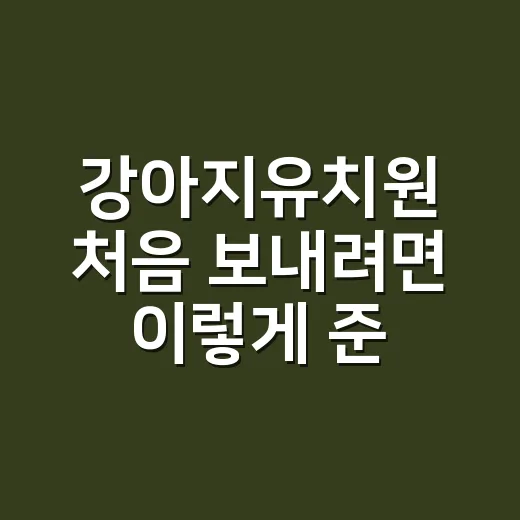 강아지유치원 처음 보내려면 이렇게 준비하는 방법 - 요약