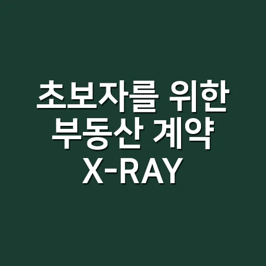 초보자를 위한 부동산 계약 X-RAY 확인하는 방법 - 요약