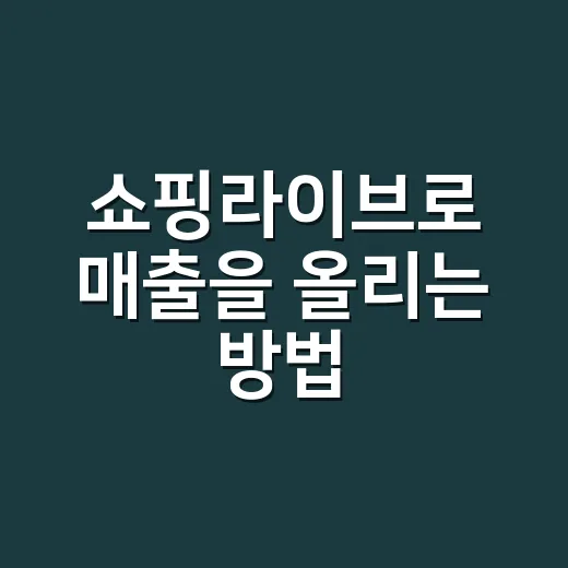 쇼핑라이브로 매출을 올리는 방법, 초보자는 이렇게 시작하면 됩니다 - 요약