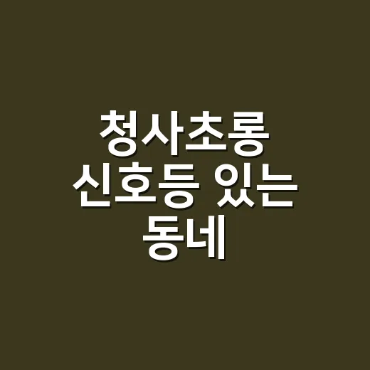청사초롱 신호등 있는 동네, 집 보러 갈 때 확인하는 방법 - 요약
