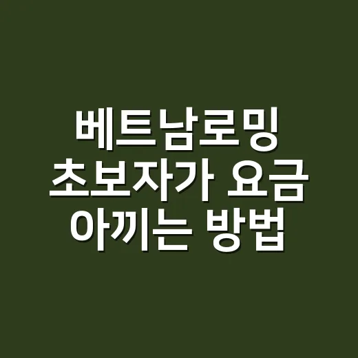 베트남로밍 초보자가 요금 아끼는 방법 - 요약