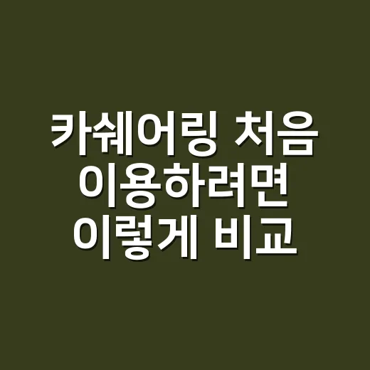 카쉐어링 처음 이용하려면 이렇게 비교하고 예약하는 방법 - 요약
