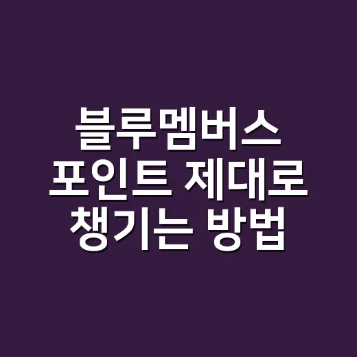 블루멤버스 포인트 제대로 챙기는 방법, 신차 구매 전후 이렇게 확인하세요 - 요약