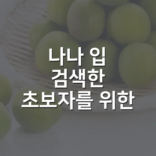 나나 입 검색한 초보자를 위한 내 집 입지 고르는 방법 - 요약