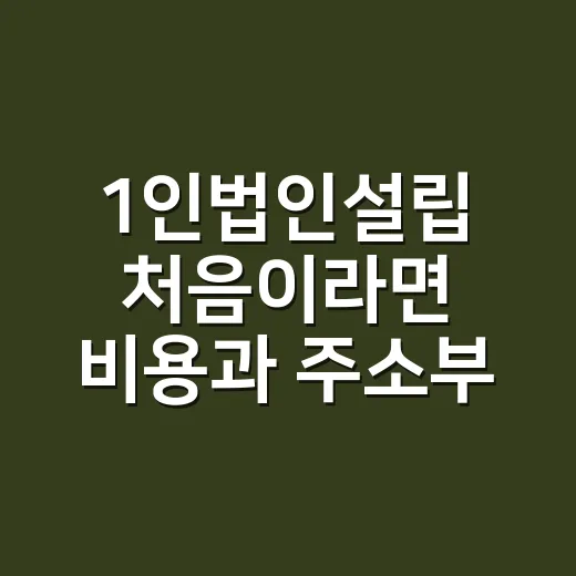 1인법인설립 처음이라면 비용과 주소부터 잡는 방법 - 요약