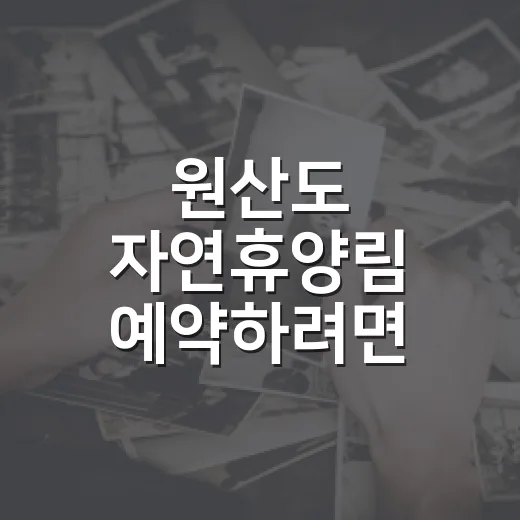 원산도 자연휴양림 예약하려면 이렇게, 오션뷰 숙소 고르는 방법 - 요약