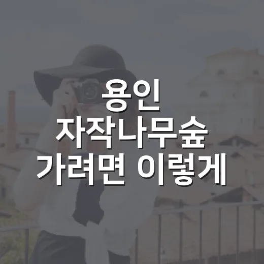 용인 자작나무숲 가려면 이렇게 준비하면 좋은 이유 - 요약