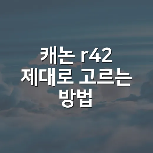 캐논 r42 제대로 고르는 방법, 매물 사진 촬영용으로 따져볼 포인트 - 요약