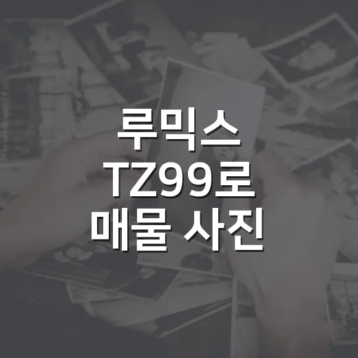 루믹스 TZ99로 매물 사진 제대로 찍는 방법 - 요약