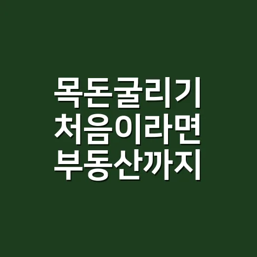 목돈굴리기 처음이라면 부동산까지 함께 보는 방법 - 요약