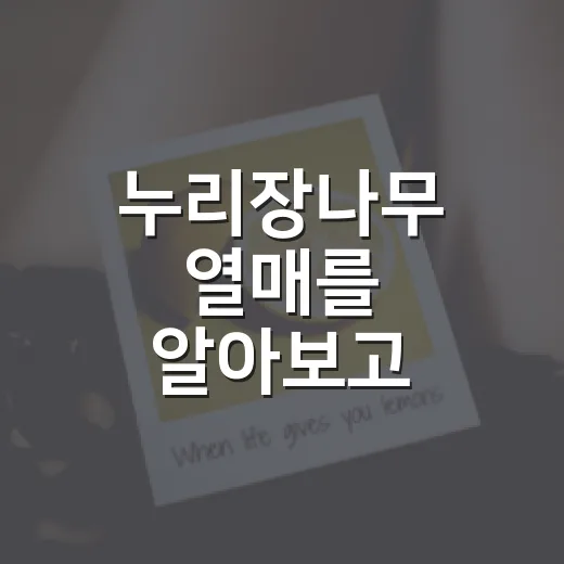 누리장나무 열매를 알아보고 마당에서 관리하는 방법 - 요약