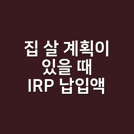 집 살 계획이 있을 때 IRP 납입액 정하는 방법 - 요약