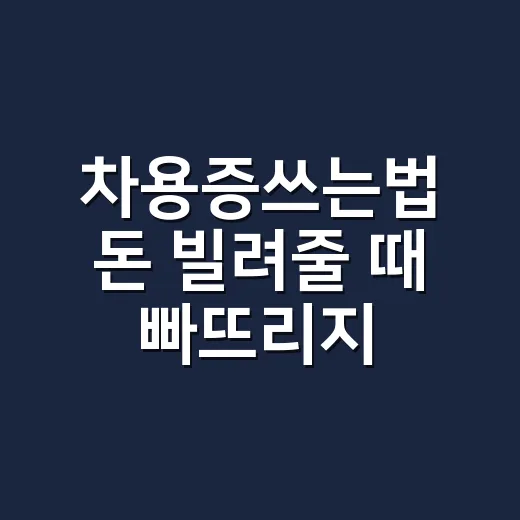 차용증쓰는법 돈 빌려줄 때 빠뜨리지 않는 방법 - 요약