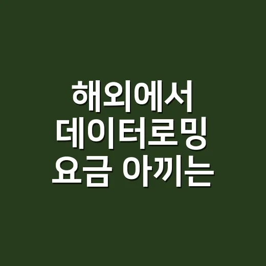 해외에서 데이터로밍 요금 아끼는 방법 - 요약