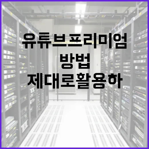 유튜브 프리미엄을 제대로 활용하는 방법 - 요약