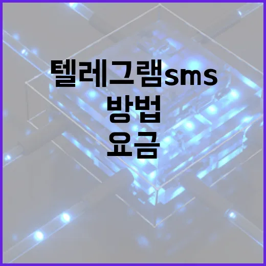 텔레그램 SMS 요금 아끼는 방법 - 요약