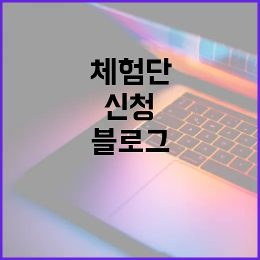 블로그체험단 초보가 처음 신청하려면 이렇게 준비하면 됩니다 - 요약