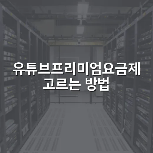 유튜브프리미엄요금제 고르는 방법, 라이트부터 일반형까지 이렇게 비교하면 됩니다 - 요약