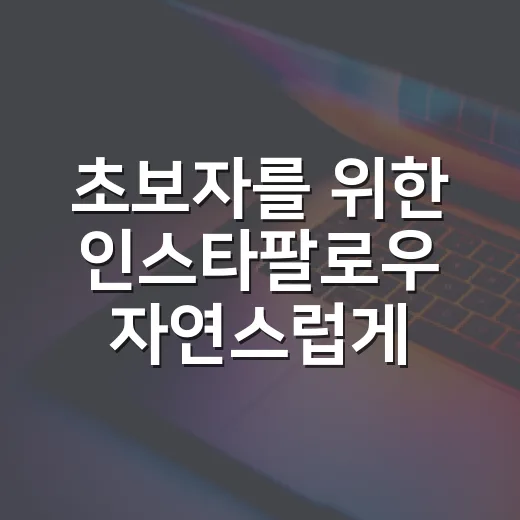 초보자를 위한 인스타팔로우 자연스럽게 늘리는 방법 - 요약